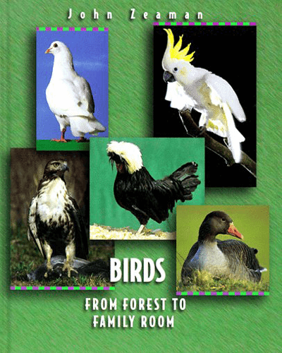 Birds From Forest to Family Room