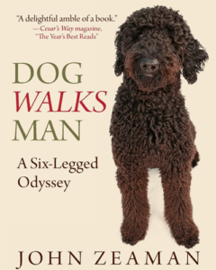 Dog Walks Man A Six-Legged Odyssey