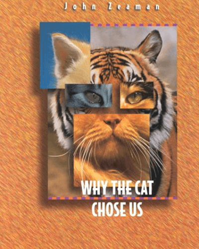 Why the Cat Chose Us